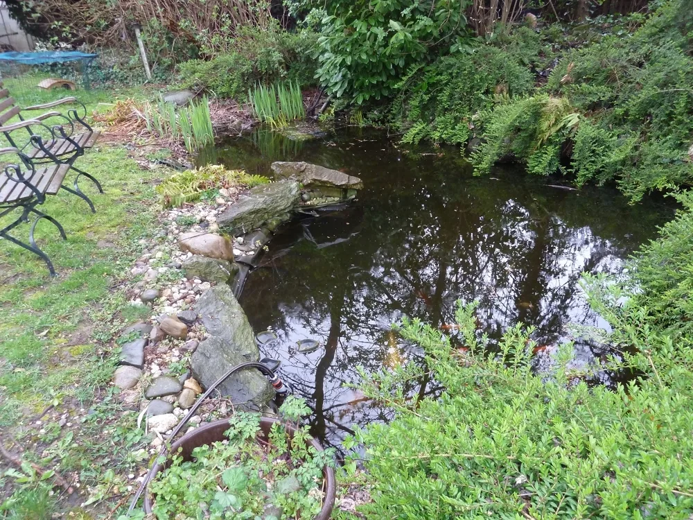 Fischteich