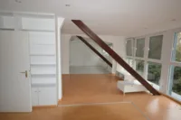 DG