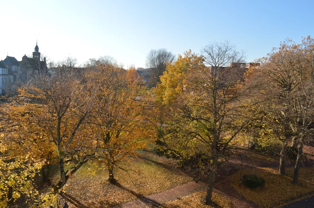 Ausblick