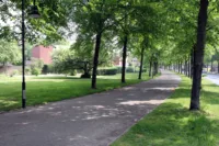 Umgebung