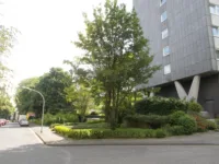 Wohnumfeld
