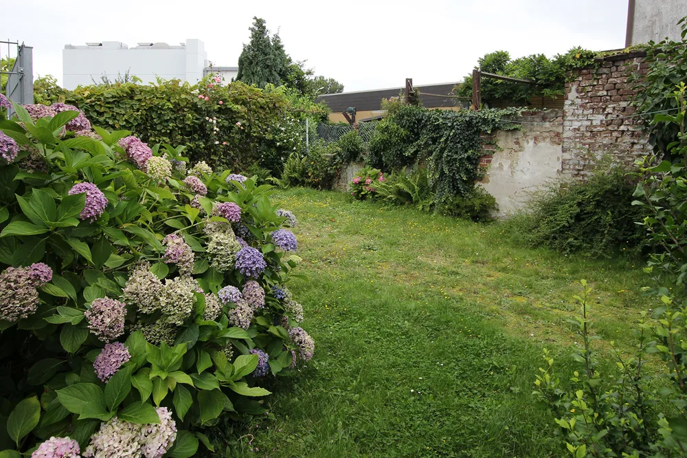 Garten