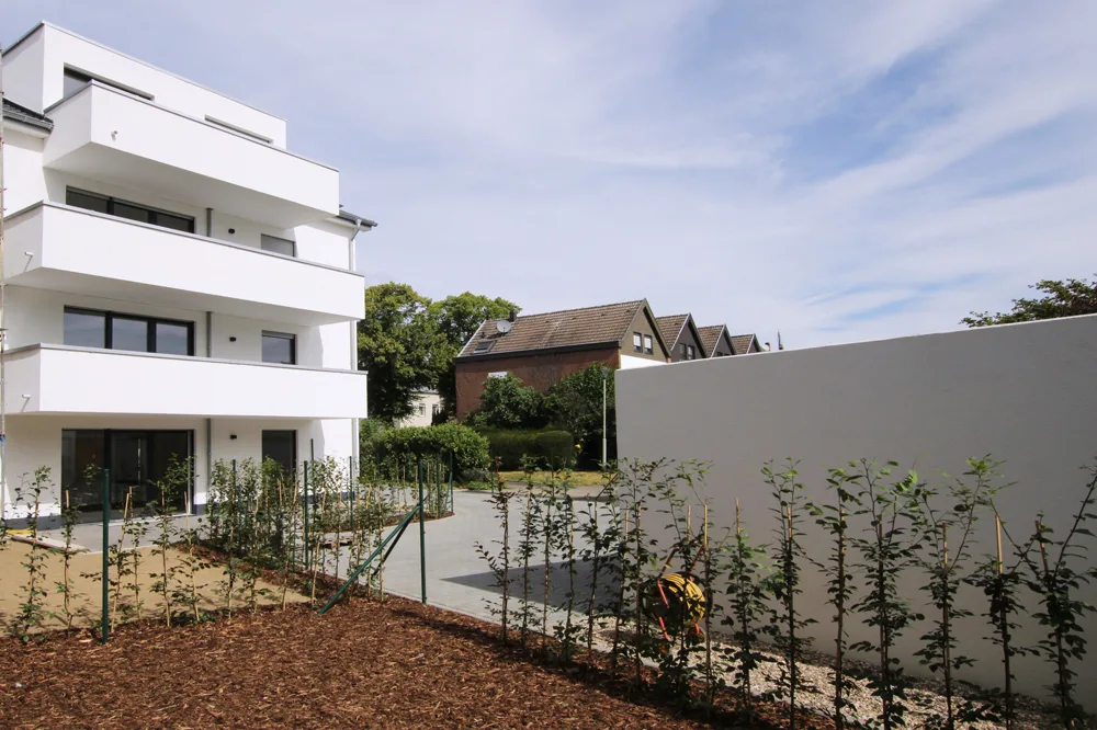 Rückansicht2