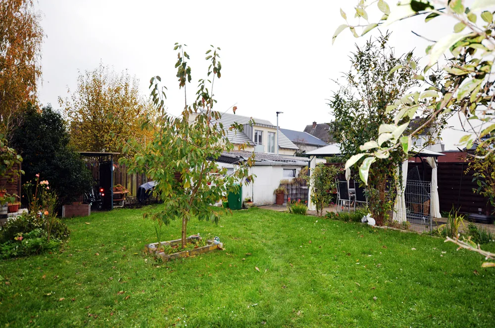 Blick in den Garten 1