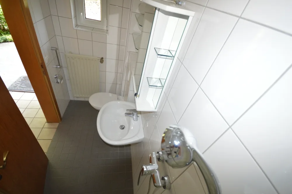 GästeWC_Dusche