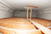 Stuck im Dornröschenschlaf