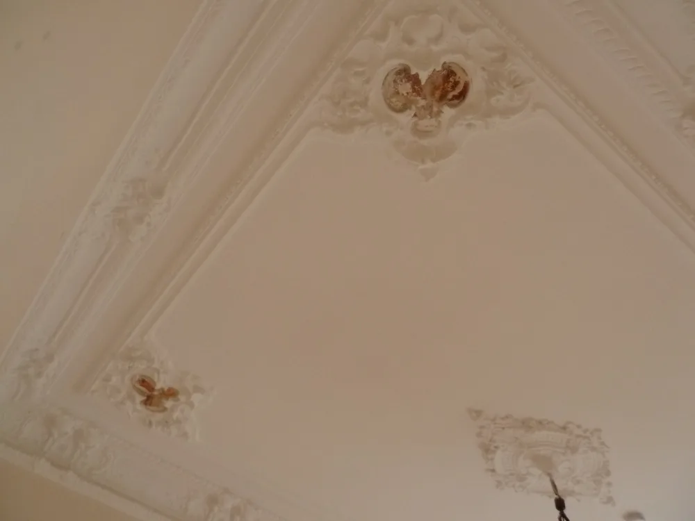 Detail