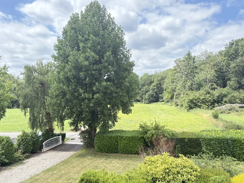 Ausblick