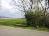 Blick ins Feld