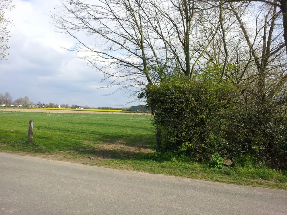 Blick ins Feld