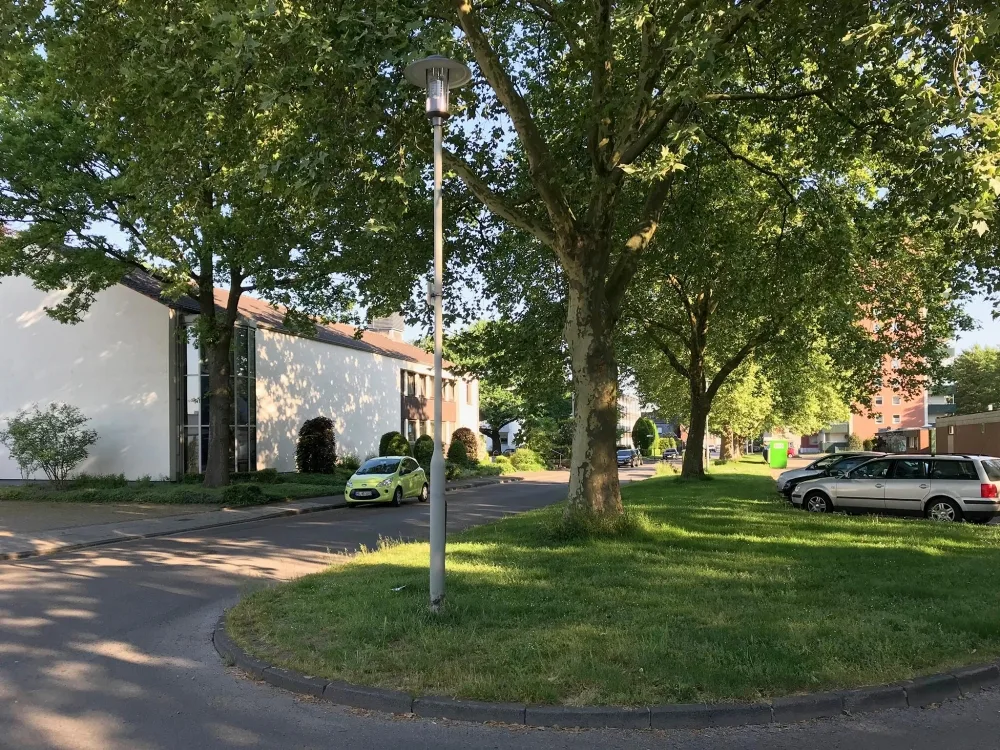 grüne Umgebung
