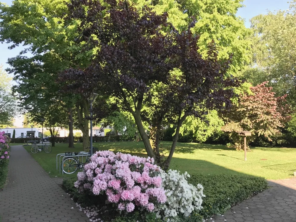 Gartenanlage