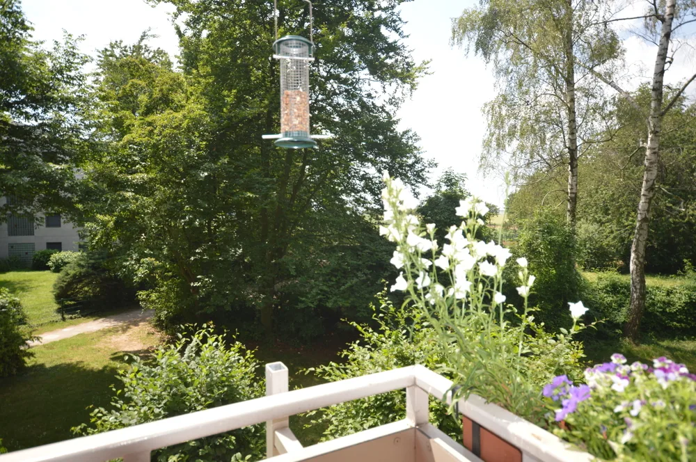 Aussicht