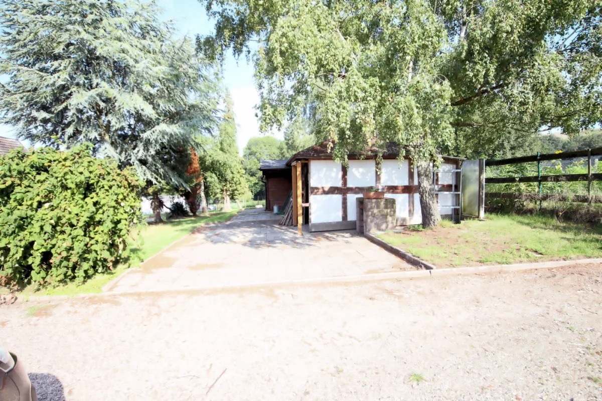Garten 1