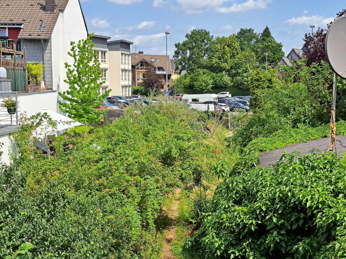 Blick auf das Grundstück