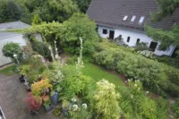 Blick in den Garten
