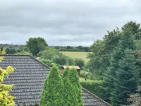 Entspannte Aussichten