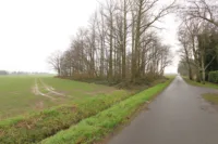 Zuweg zum Grundstück