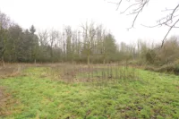 Gartenansicht