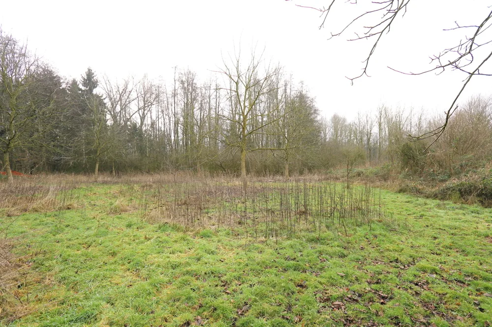 Gartenansicht