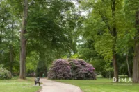 mags-Schmoelderpark_Mai-2020_web-3281