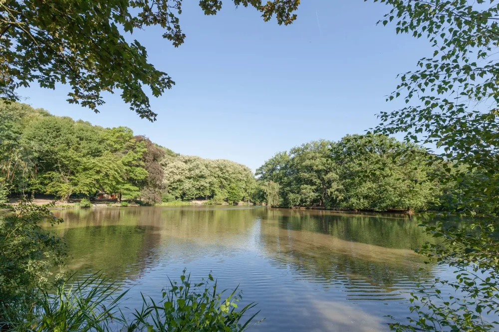 mags-stadtwald-sommer-0145-2048x1365_2