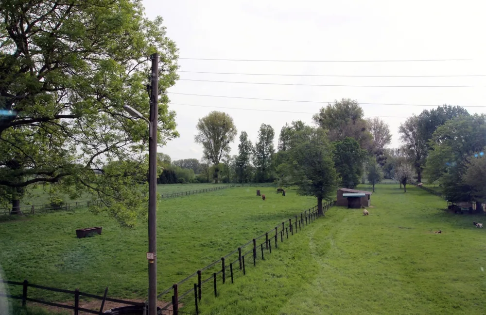 Blick aus dem 1.OG