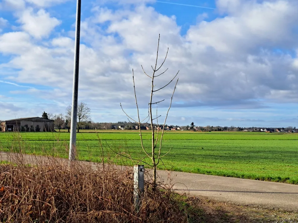 Blick vom Ende des Grundstückes