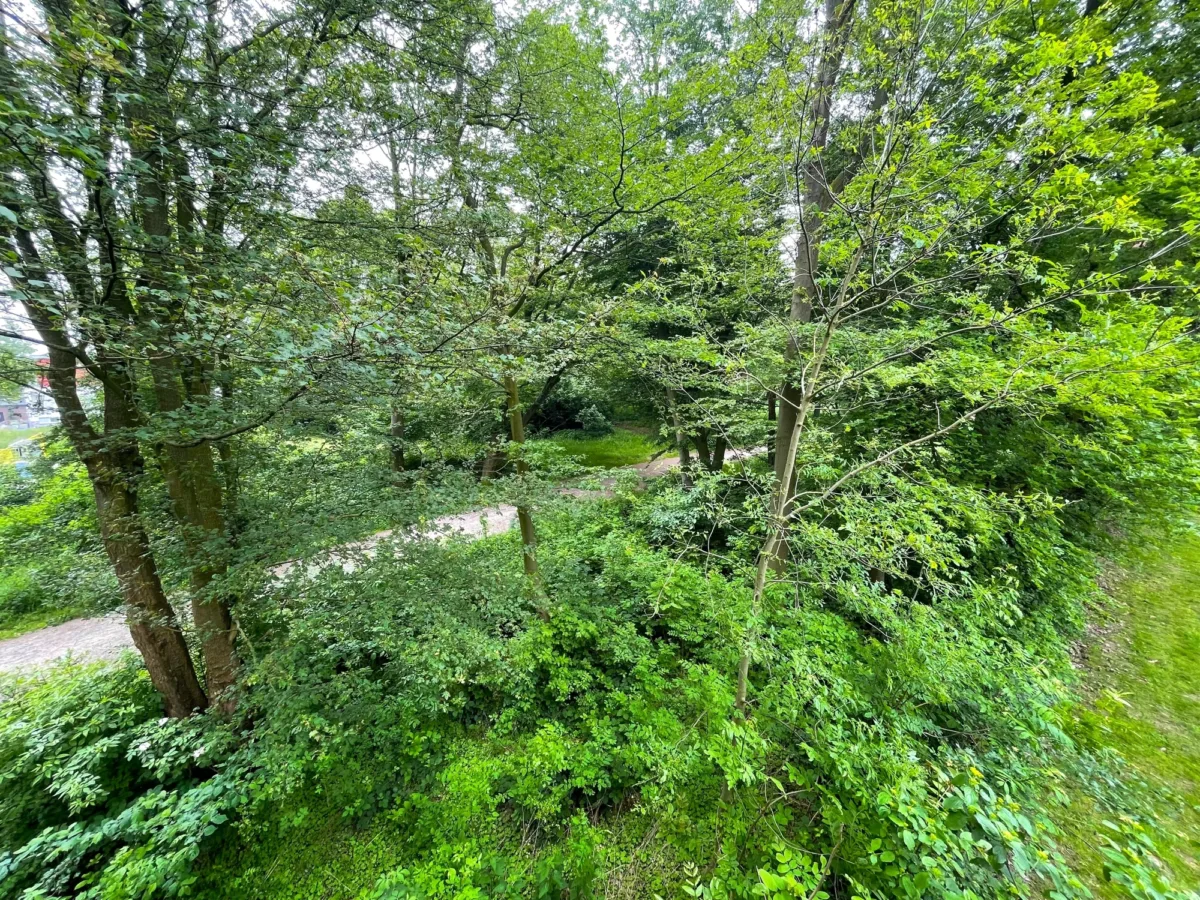 Ausblick Balkon
