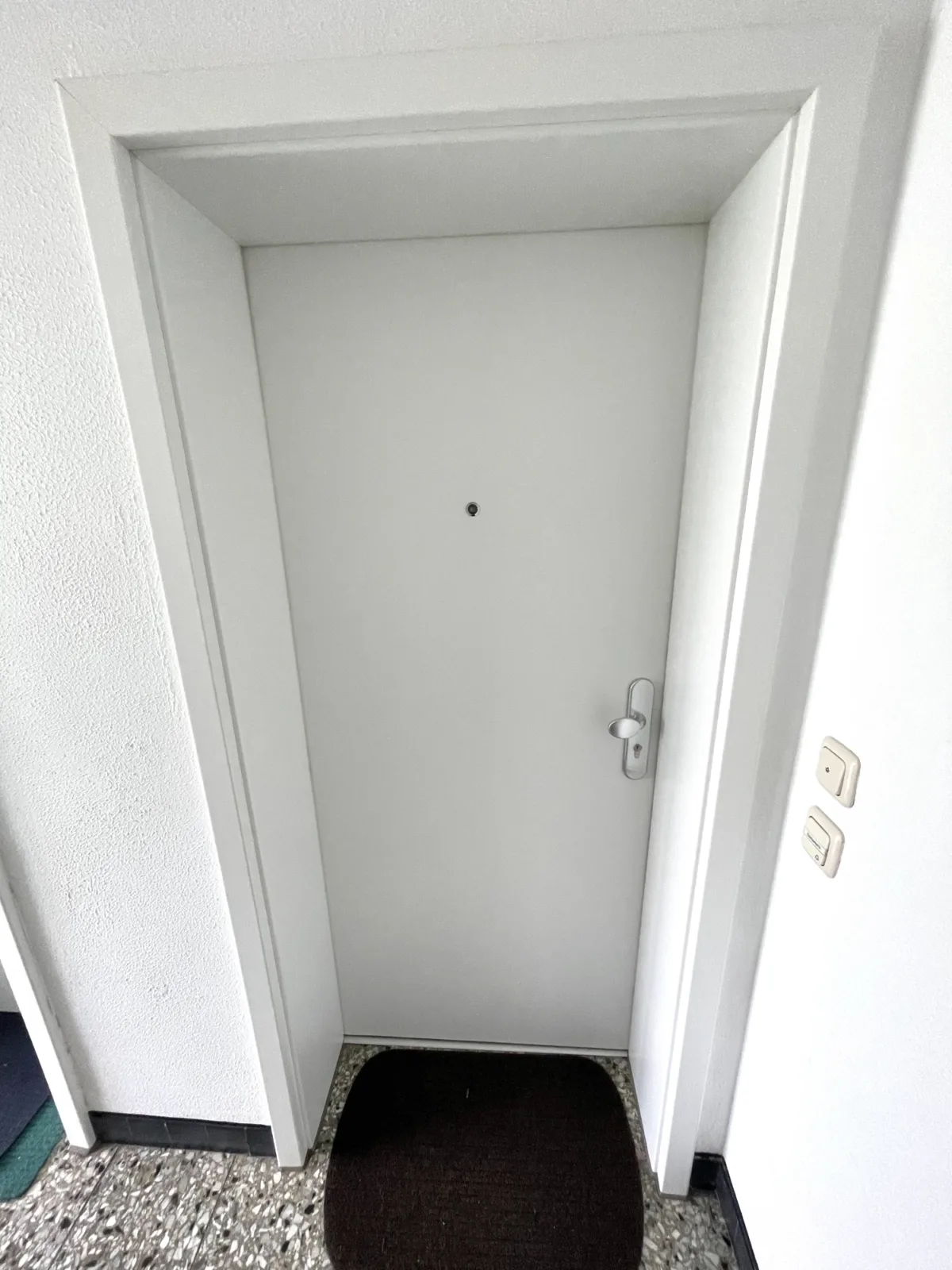 Modernisierte Wohnungseingangstüre