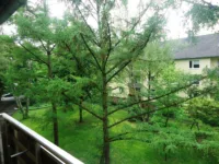 Blick vom Balkon
