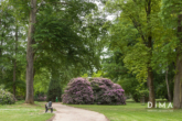 Schmölderpark - Attraktive Kapitalanlage in Mönchengladbach – Hockstein!