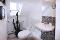 WC DG