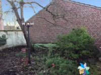 lauschiger Garten ...