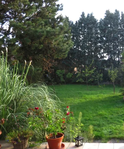 ++RESERVIERT**Freistehendes Einfamilienhaus in bester Lage von Kevelaer-Twisteden, 47624 Kevelaer, Einfamilienhaus