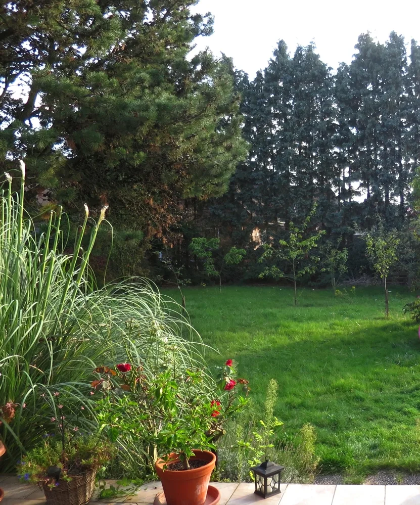 Ausblick Garten
