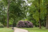 mags-Schmoelderpark_Mai-2020_web-3281 - Attraktive Kapitalanlage in Mönchengladbach – Hockstein!