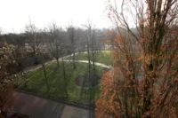 Ausblick