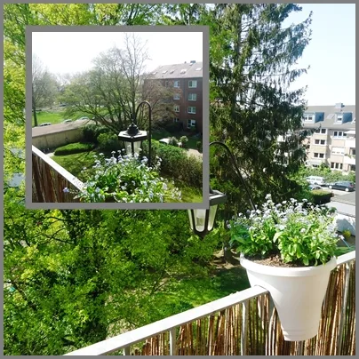 Ausblickansichten