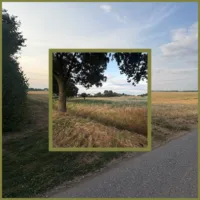 Umgebung 3