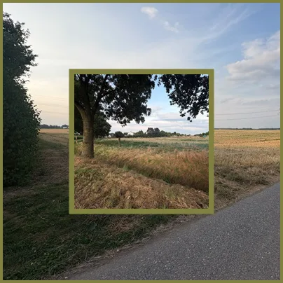 Umgebung 3