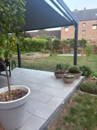 Blick in den Garten 1