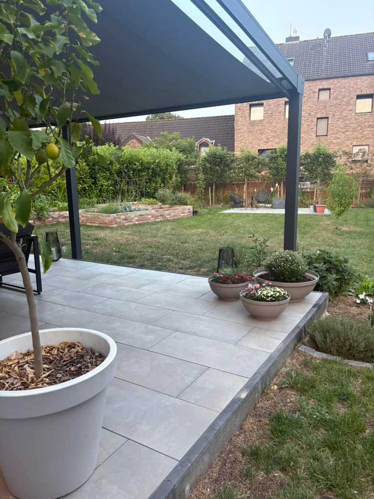 Blick in den Garten 1