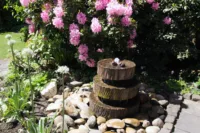 Gartenimpressionen