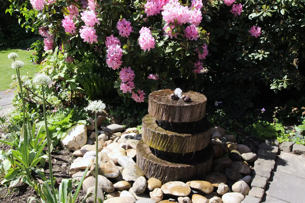 Gartenimpressionen