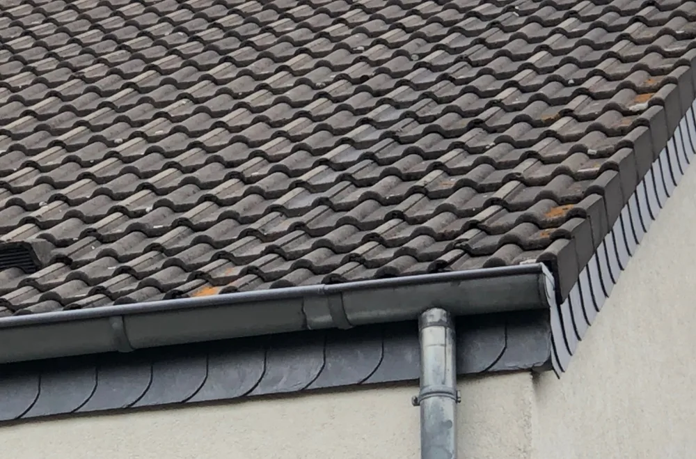 Detail Dach