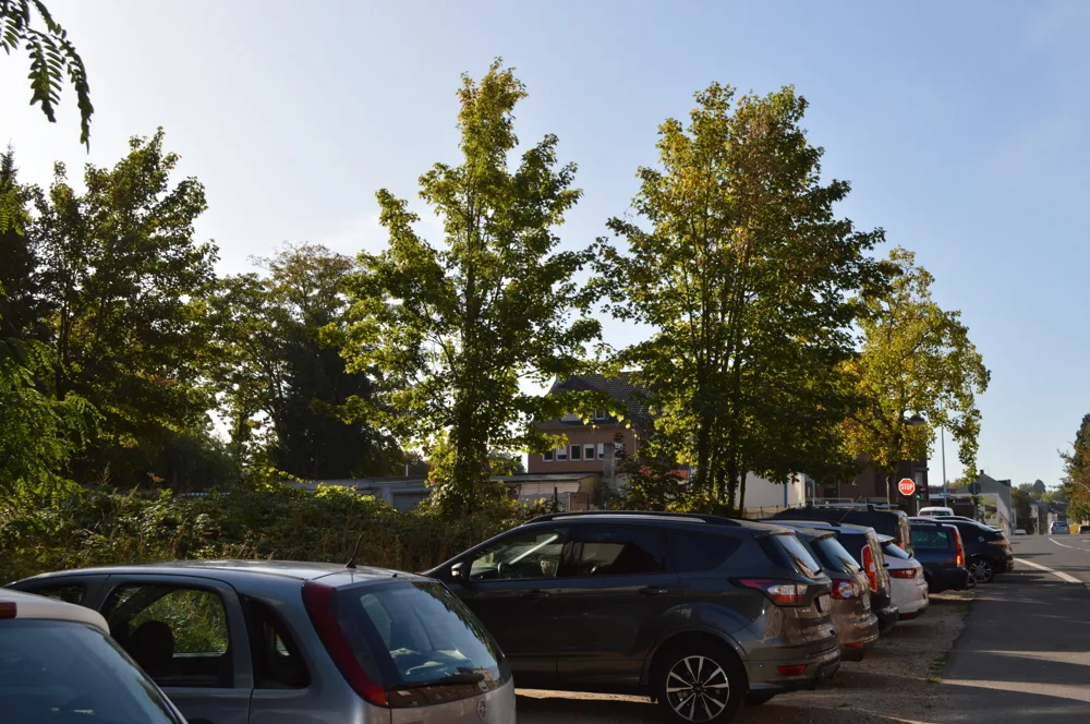 Ansicht Grundstück