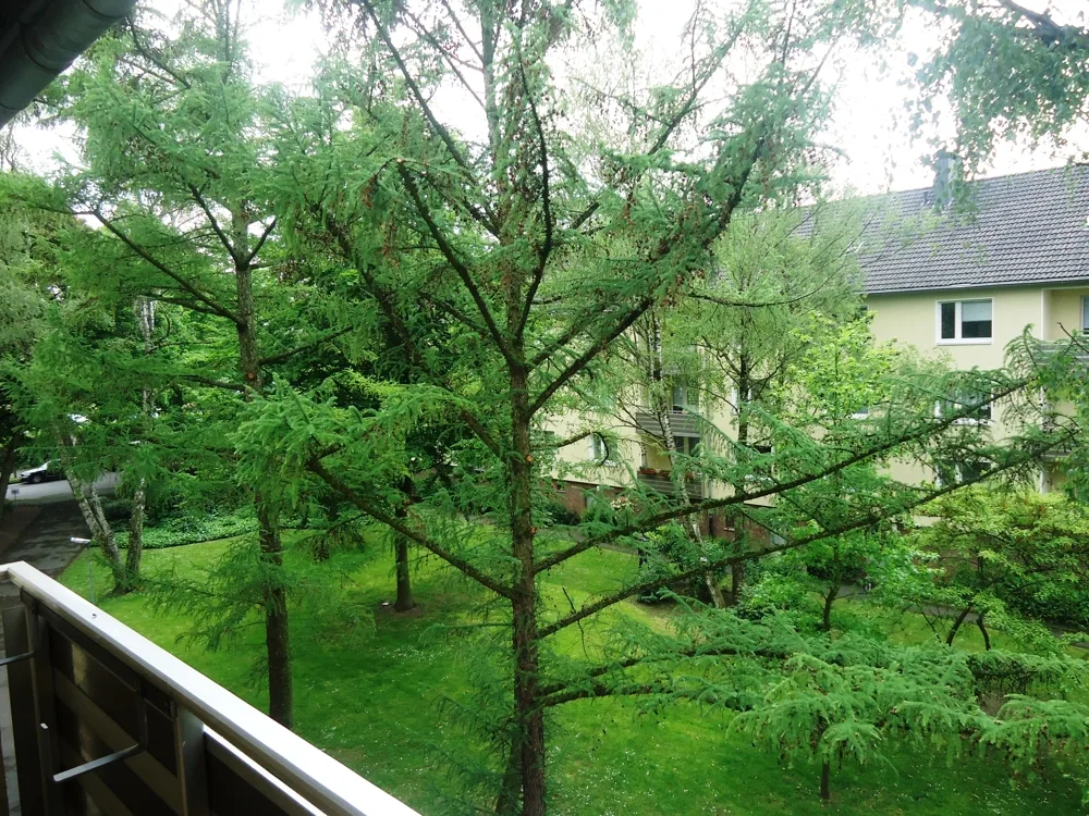 Blick vom Balkon