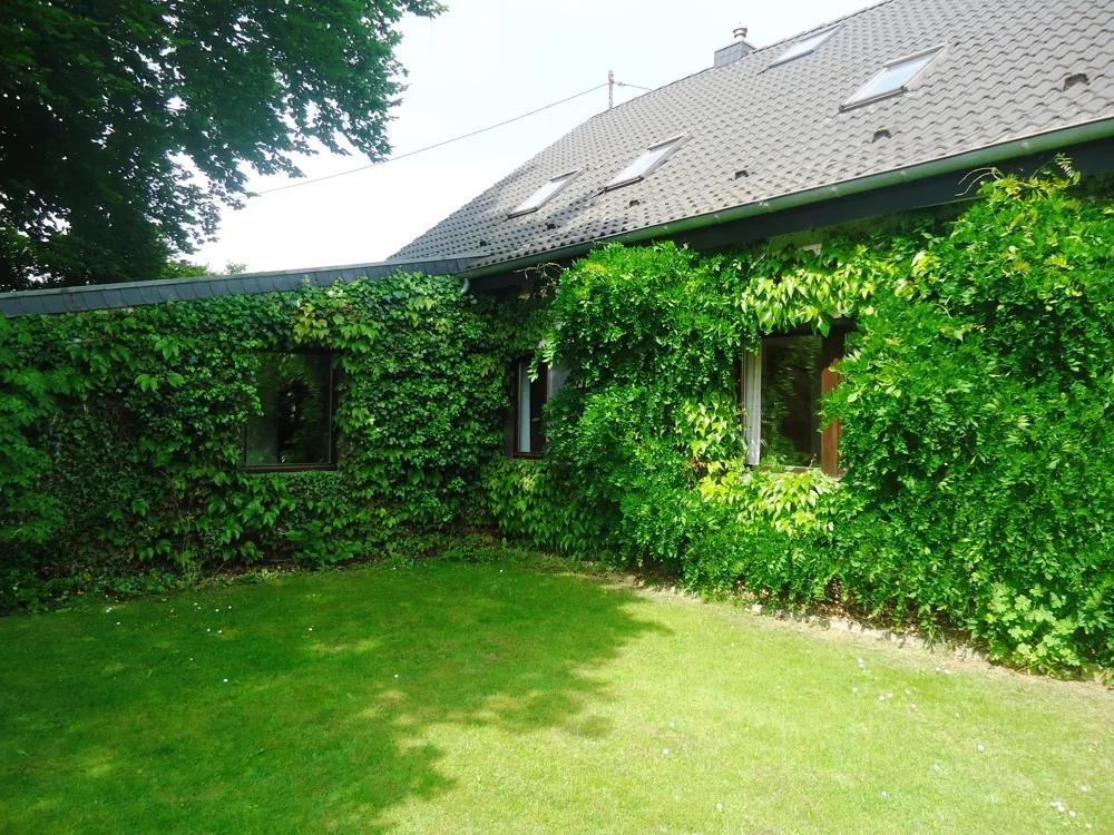 Rückseite Mieterwohnhaus