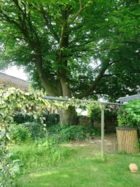 Gartenbereich Mieter 4